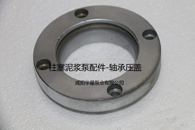 壓濾機(jī)專(zhuān)用節(jié)能泵軸承壓蓋